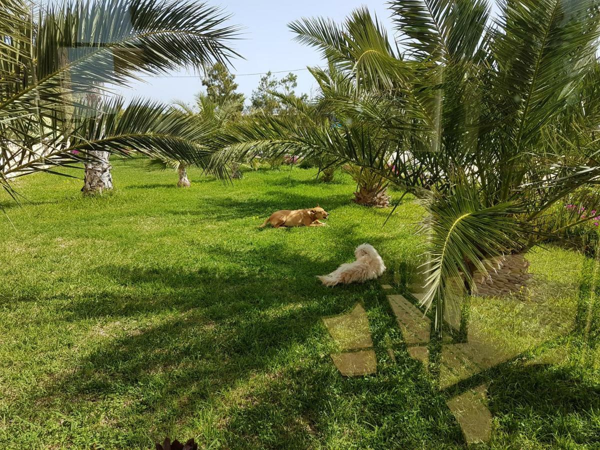 Maison D'hôtes, SPA et YOGA Villa Océane Essaouira Extérieur photo